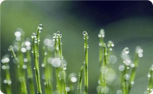东吴网架|清明时节雨纷纷